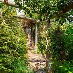 Apartmán Bodega Goyo