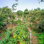 Apartmán Bodega Goyo