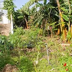 Apartmán Bodega Goyo Puntallana