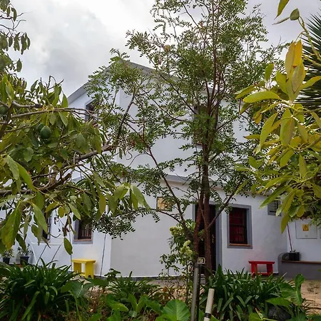 Bodega Goyo Apartment Puntallana