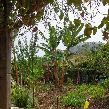 Bodega Goyo Puntallana