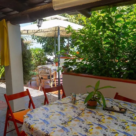 Apartment Bodega Goyo *
