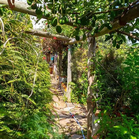 Appartement Bodega Goyo