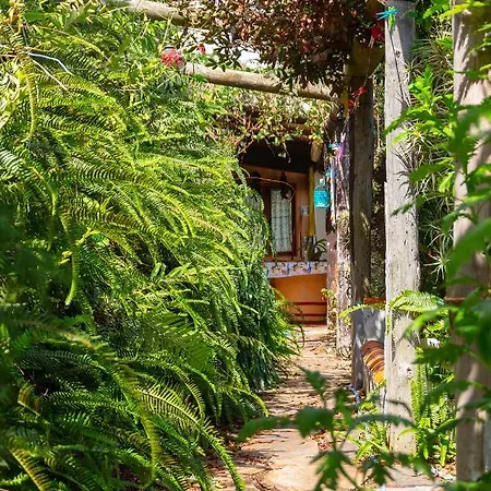 Appartement Bodega Goyo Puntallana