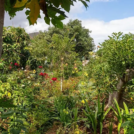 Bodega Goyo Appartement *