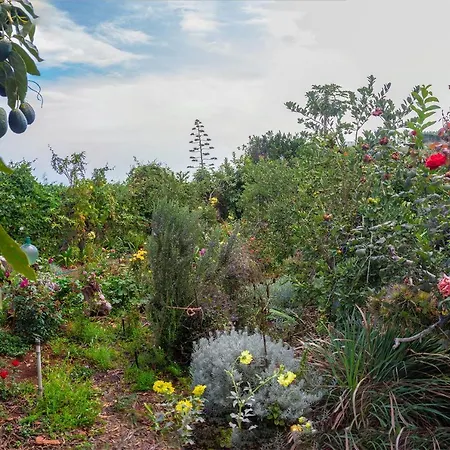 Bodega Goyo * Puntallana