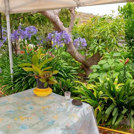 Appartement Bodega Goyo