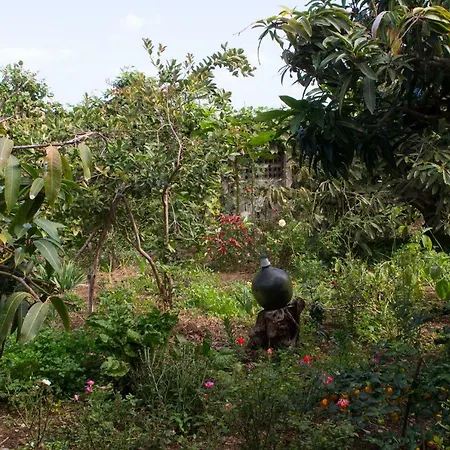 Bodega Goyo Apartamento
