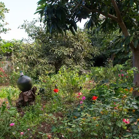 Appartement Bodega Goyo Puntallana