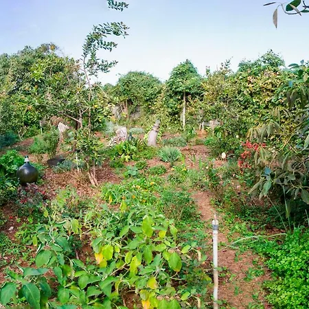 Apartamento Bodega Goyo