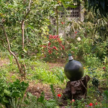 Appartement Bodega Goyo Puntallana