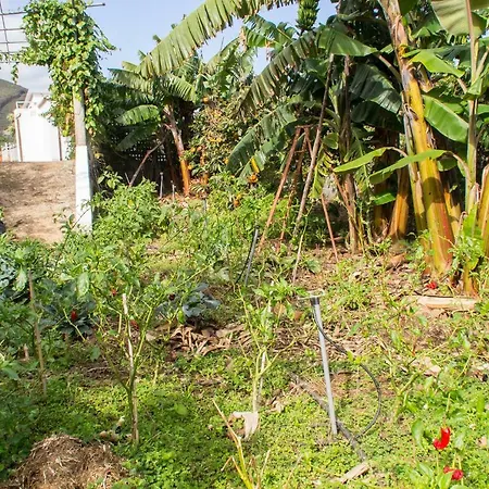 Apartamento Bodega Goyo Puntallana