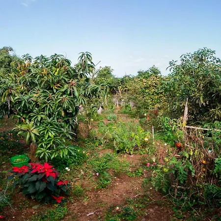 Apartamento Bodega Goyo Puntallana