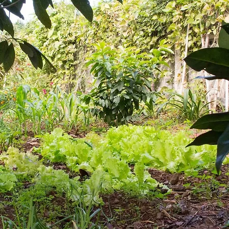 Appartement Bodega Goyo