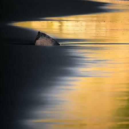 Bodega Goyo Appartement *