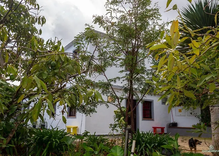 Bodega Goyo דירה Puntallana