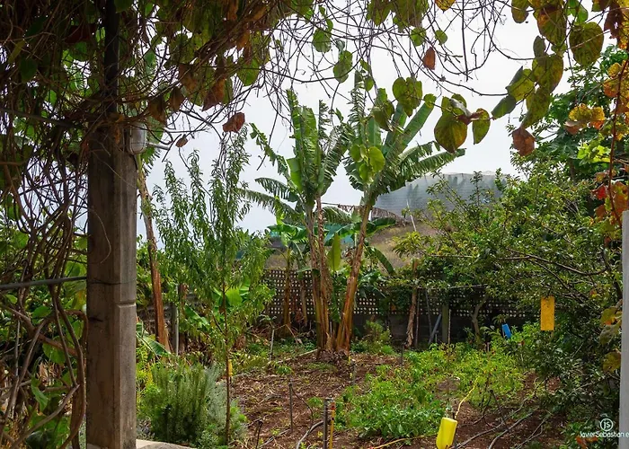 Bodega Goyo Puntallana