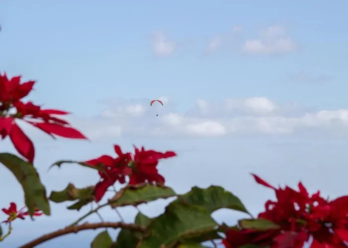 דירה Bodega Goyo *