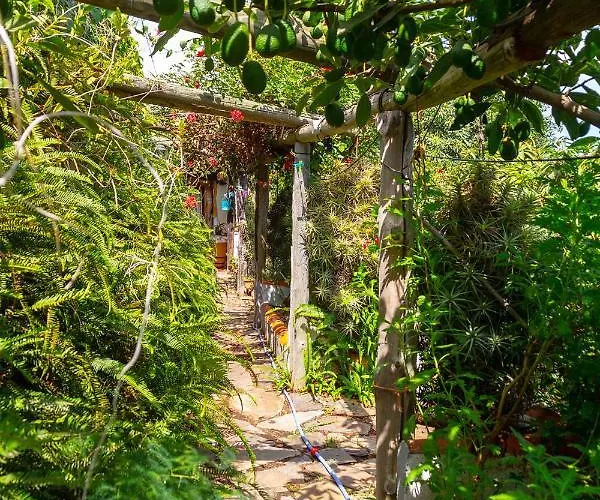 דירה Bodega Goyo