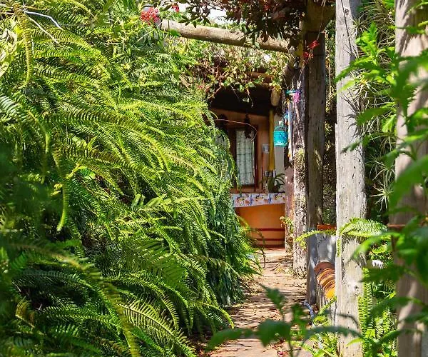 דירה Bodega Goyo Puntallana