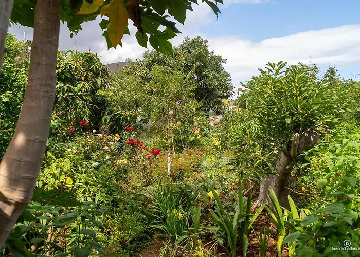 Bodega Goyo דירה *