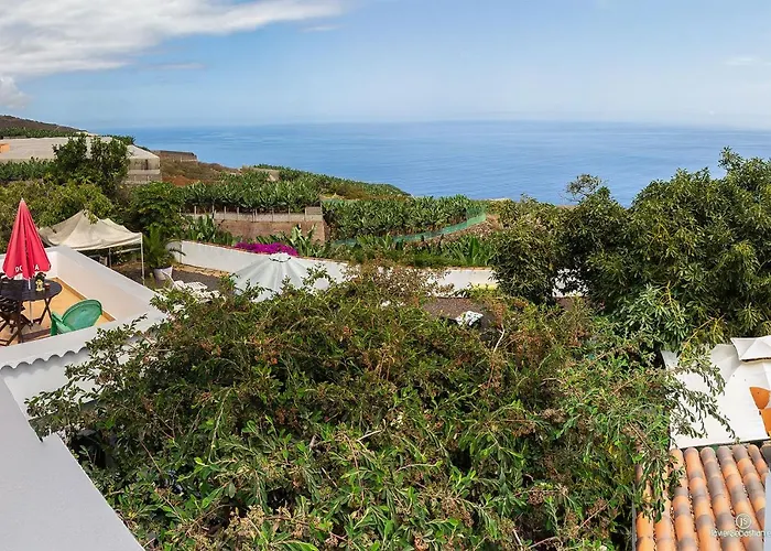 Bodega Goyo * Puntallana