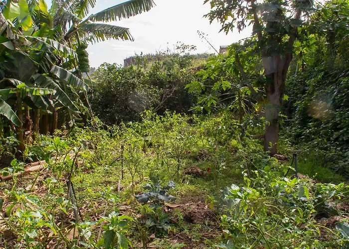 Bodega Goyo דירה