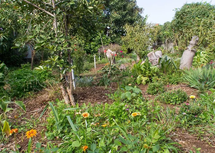 Bodega Goyo Puntallana