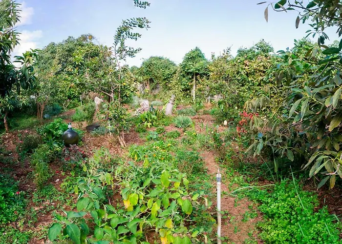 דירה Bodega Goyo