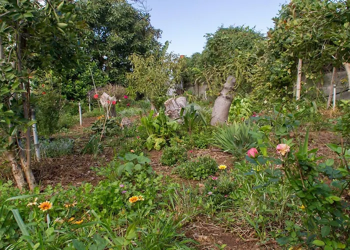 Bodega Goyo דירה *