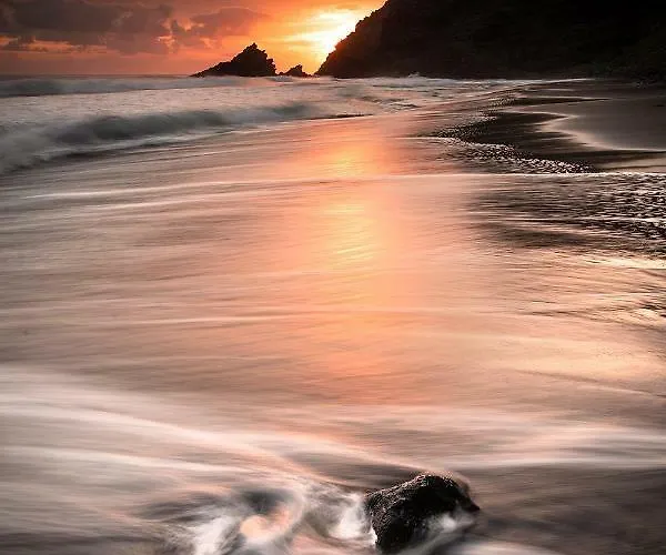 דירה Bodega Goyo