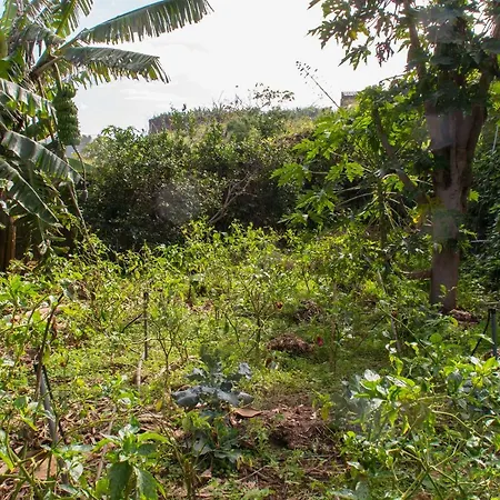 Bodega Goyo Apartment