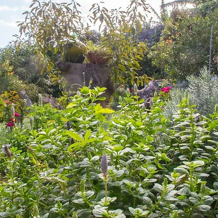 Bodega Goyo Apartment