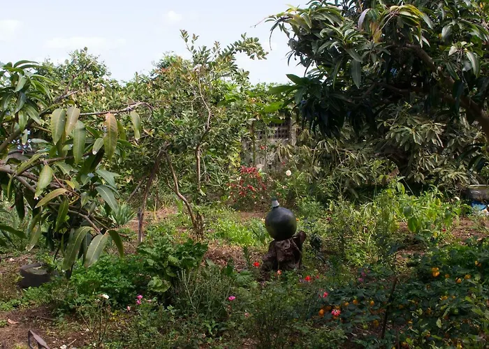 Bodega Goyo Apartment